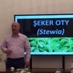 Azat Gurbanow şekeri oty we stewiozidler barada açyk sapak geçdi